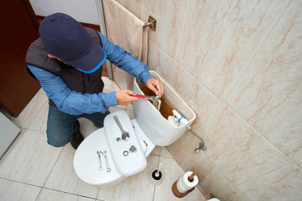 Best Local Plumber Services  in Ridgewood, IL