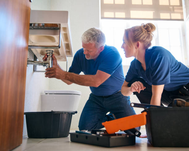 Best Clogged Drain Plumber  in Ridgewood, IL